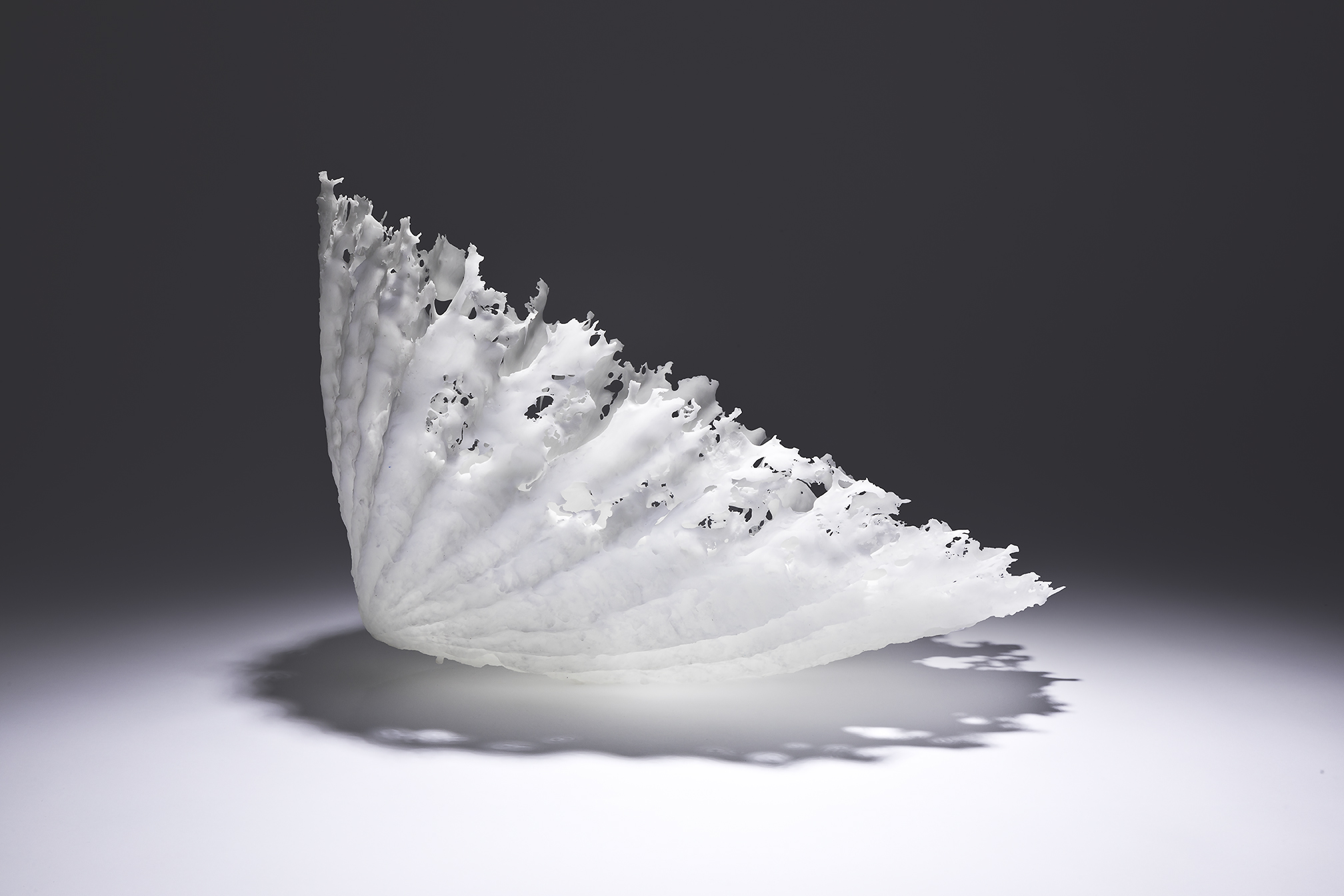 Limpet CL01_02