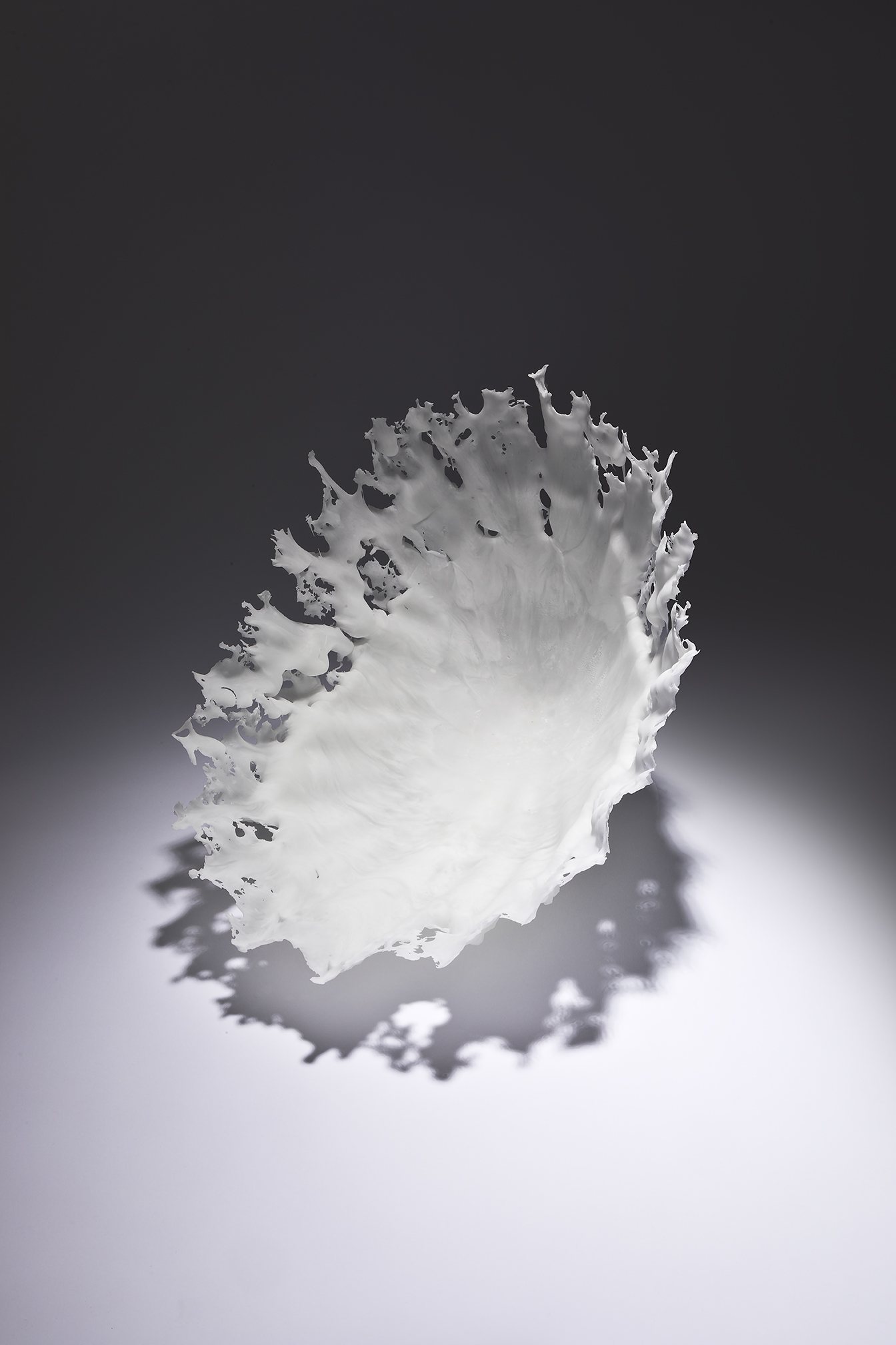 Limpet CL01_04